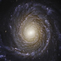 Spiral Galaxy NGC 3147.tif