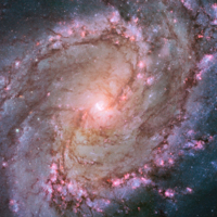Spiral Galaxy M83.jpg