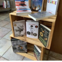 Cellar Door Bookstore: Top 10 Most Challenged Books Display