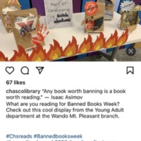 Charleston Library: Fire Banned Book Week Display