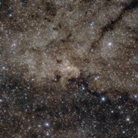 Milky Way Nuclear Star Cluster.tif