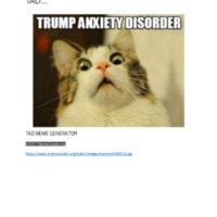 Trump Anxiety Disorder-TAD
