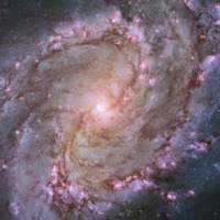 Spiral Galaxy M83.tif