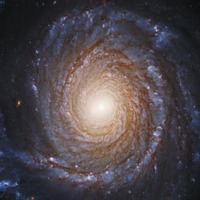 Spiral Galaxy NGC 3147.png